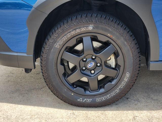 2025 Subaru Outback Wilderness Grapevine TX