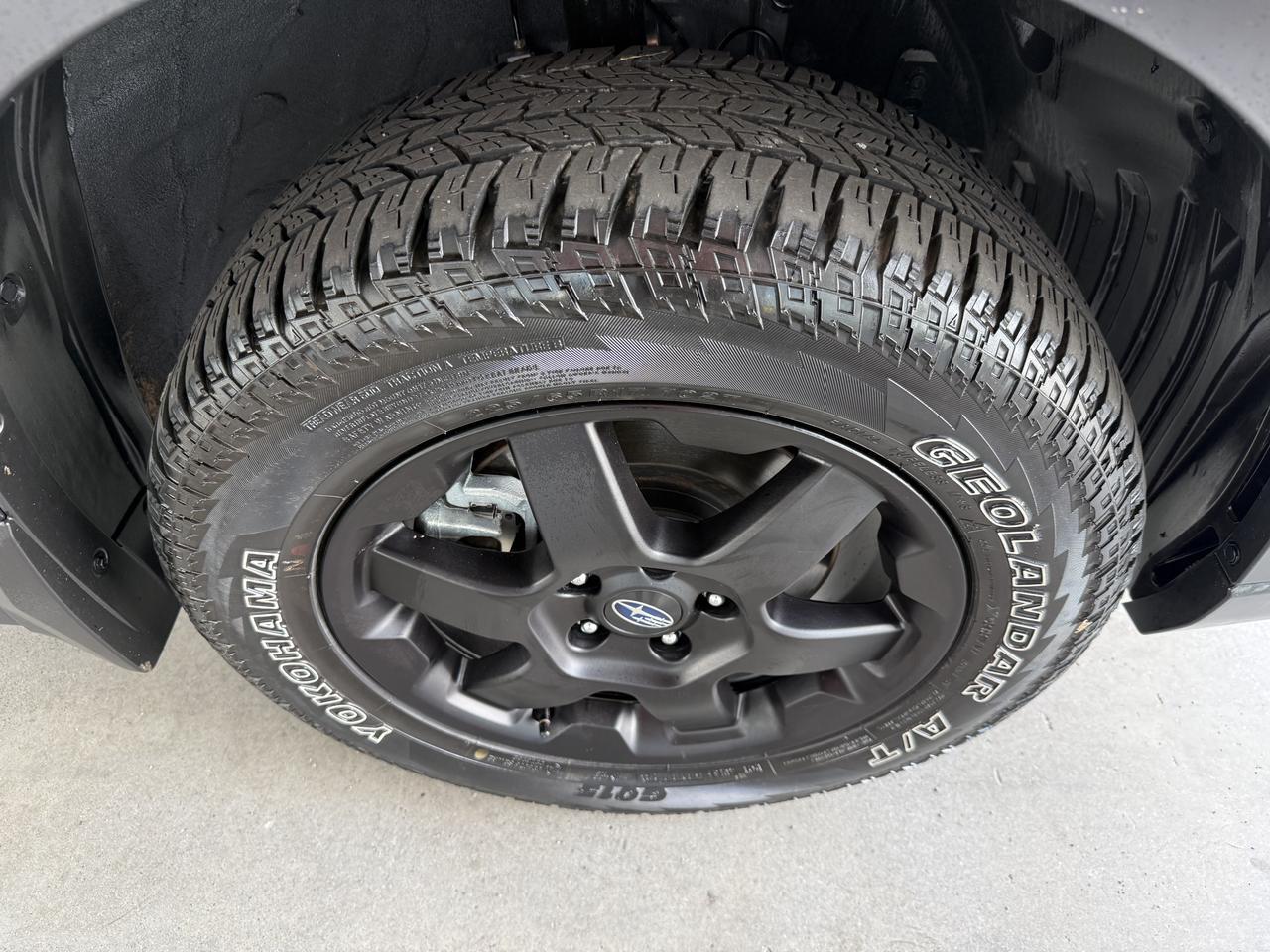 2025 Subaru Outback Wilderness Knoxville TN