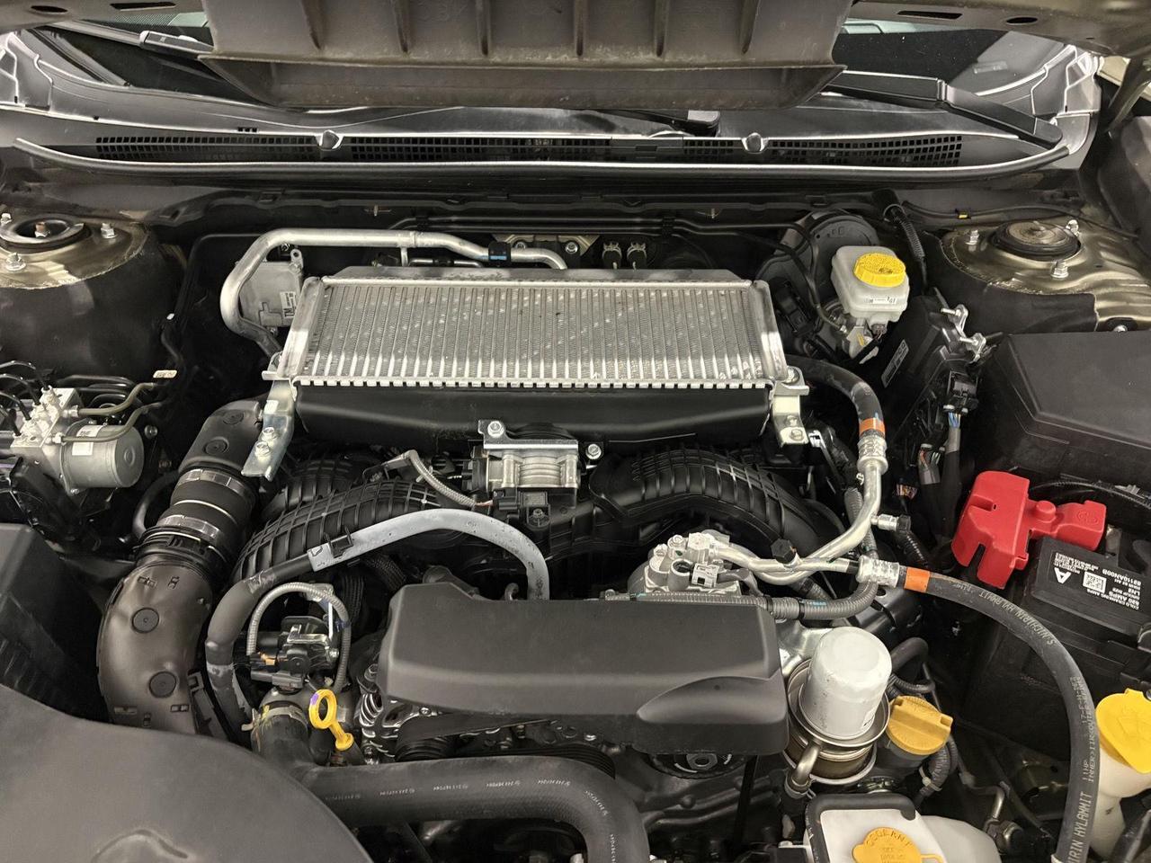 2025 Subaru Outback Wilderness Parker CO