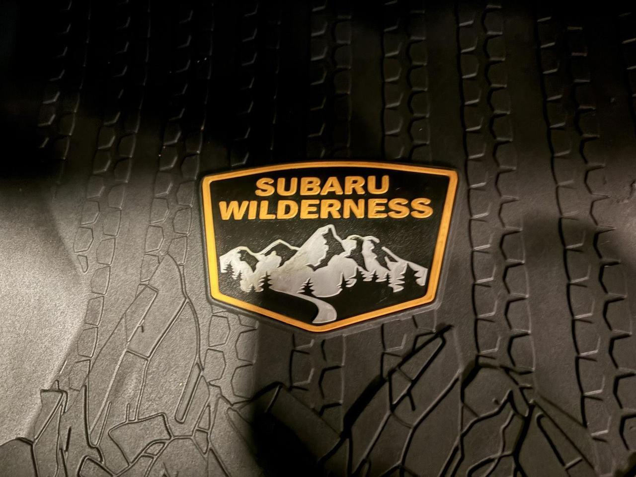 2025 Subaru Outback Wilderness Parker CO
