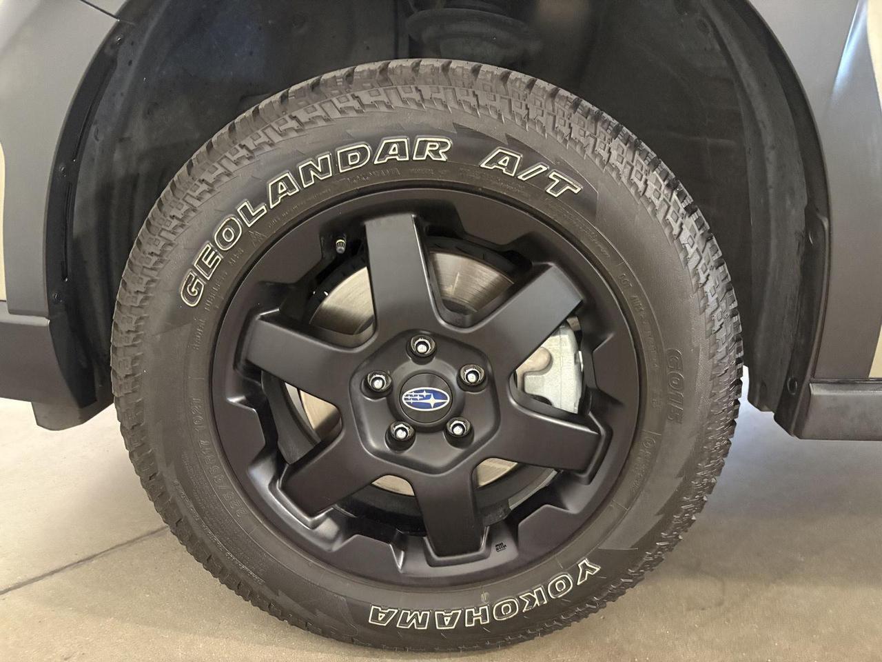 2025 Subaru Outback Wilderness Parker CO