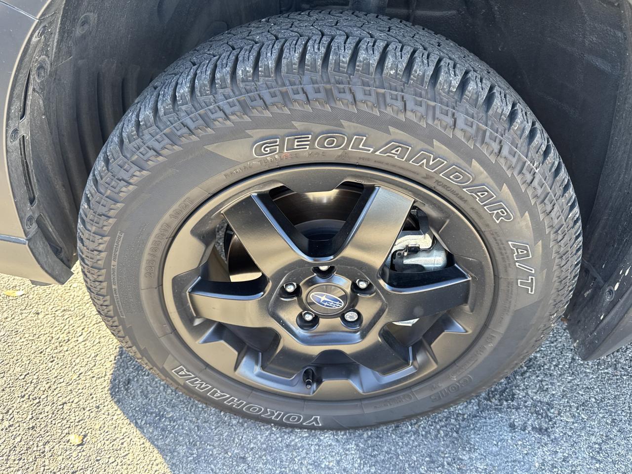 2025 Subaru Outback Wilderness San Antonio TX