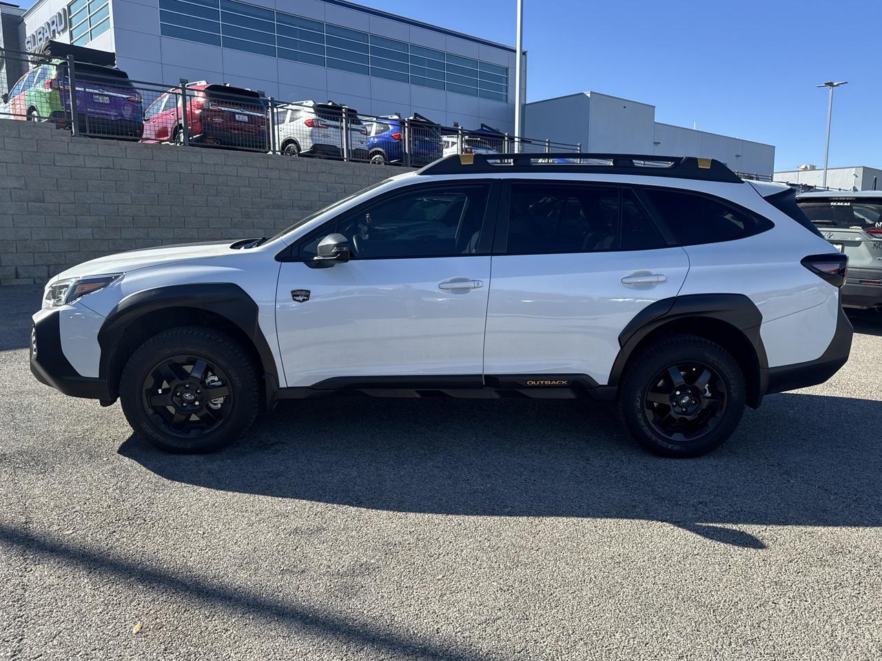2025 Subaru Outback Wilderness San Antonio TX
