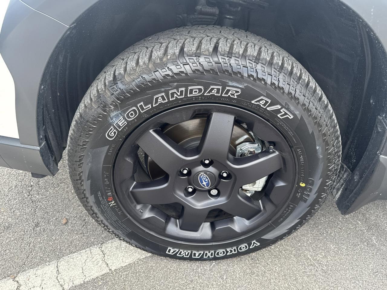 2025 Subaru Outback Wilderness San Antonio TX