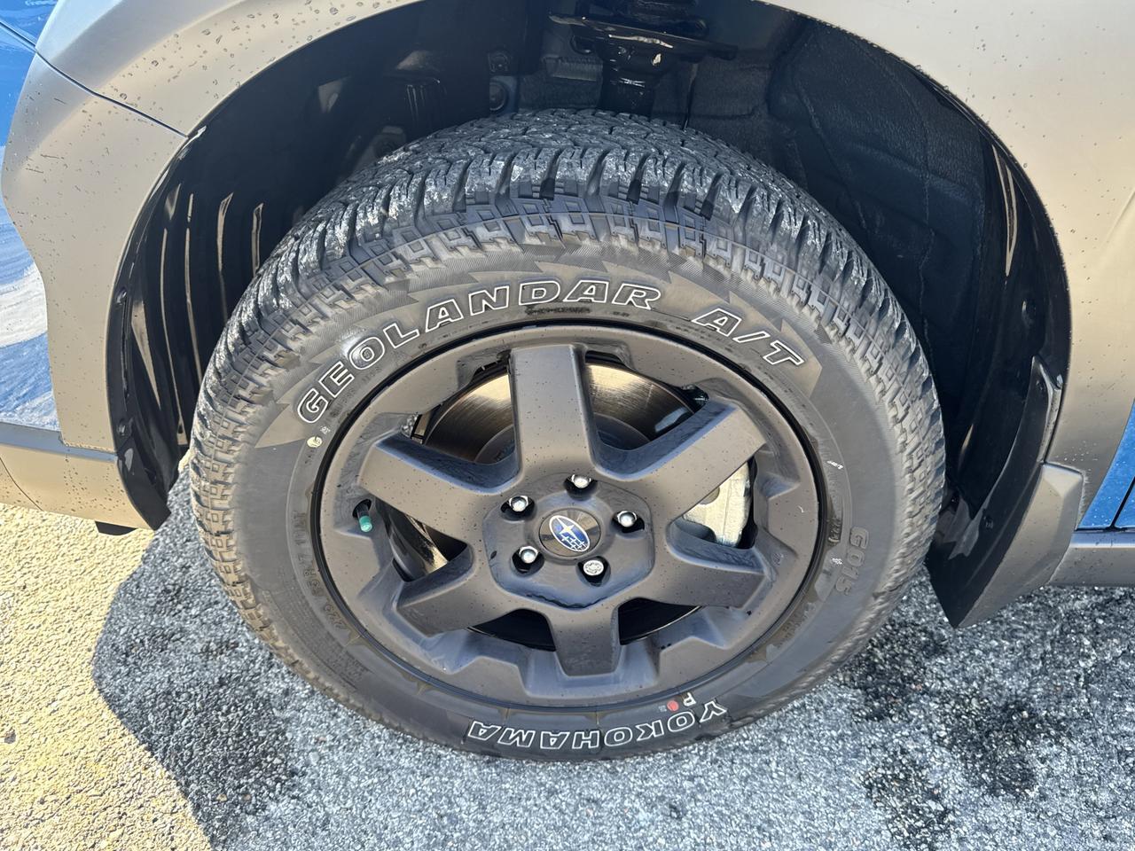 2025 Subaru Outback Wilderness San Antonio TX