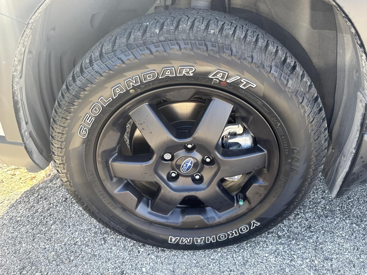 2025 Subaru Outback Wilderness San Antonio TX