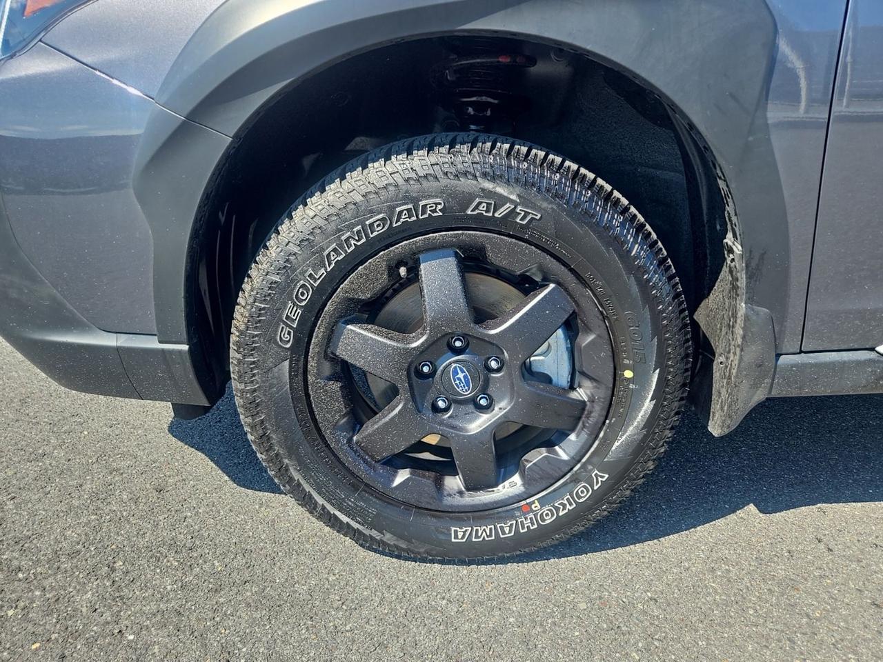 2025 Subaru Outback Wilderness Fredericksburg VA