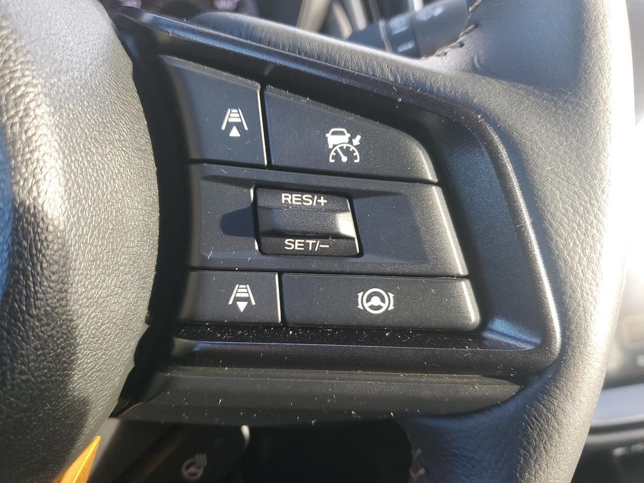 2025 Subaru Outback Wilderness Springfield VA