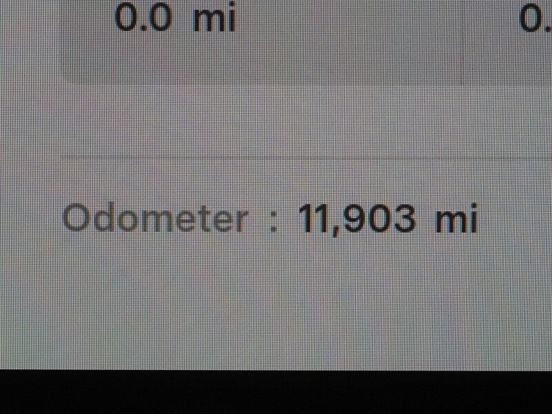 2025 Tesla Model 3 Long Range RWD *AUTOPILOT, NAVIGATION, SAFETY ALERTS, ADAPTIVE CRUISE, SURROUND VIEW CAMERAS, PANORAMA GLASS ROOF, CLIMATE SEATS, HEATED STEERING, WIRELESS CHARGING Round Rock TX