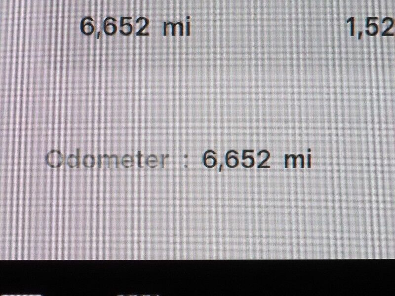 2025 Tesla Model 3 Long Range RWD *AUTOPILOT, NAVIGATION, SAFETY ALERTS, ADAPTIVE CRUISE, SURROUND VIEW CAMERAS, PANORAMA GLASS ROOF, CLIMATE SEATS, HEATED STEERING, WIRELESS CHARGING Round Rock TX