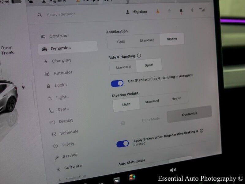 2025 Tesla Model 3 Performance Willowbrook IL