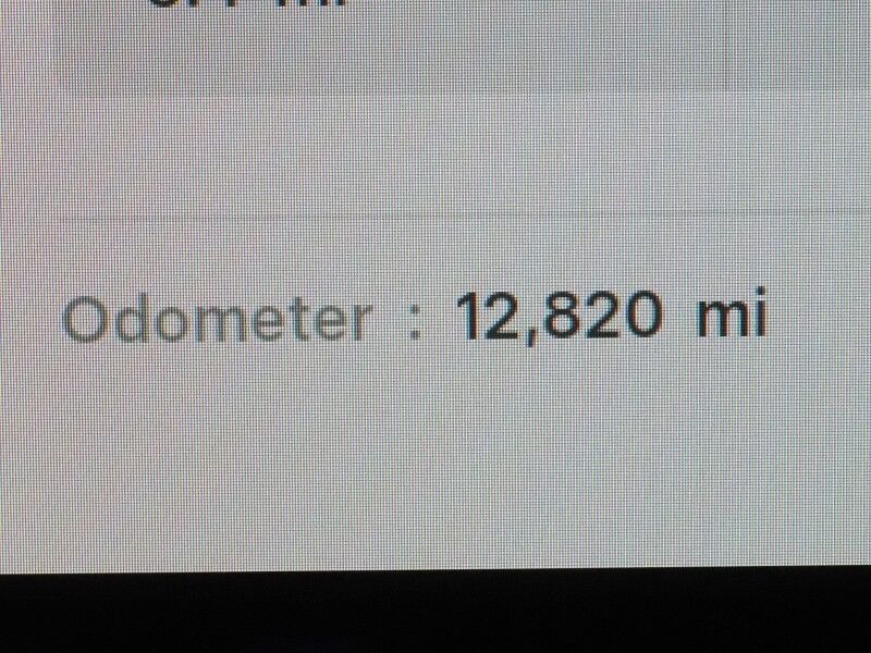 2025 Tesla Model Y Long Range RWD *AUTOPILOT, NAVIGATION, SAFETY ALERTS, ADAPTIVE CRUISE, SURROUND VIEW CAMERAS, PANORAMA GLASS ROOF, HEATED SEATS/STEERING WHEEL, WIRELESS CHARGING Round Rock TX