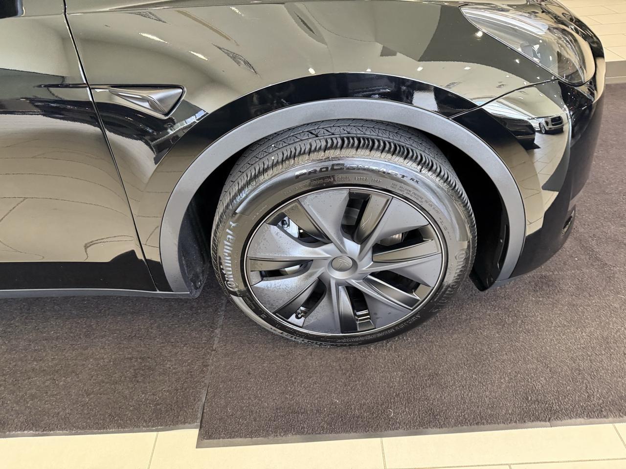 2025 Tesla Model Y Long Range Annapolis MD