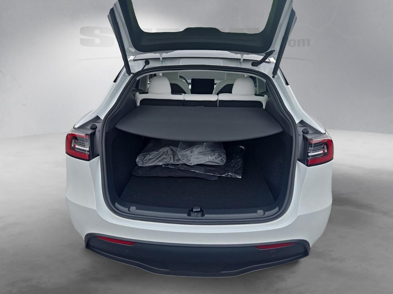 2025 Tesla Model Y Performance Fredericksburg VA