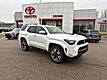 2025 Toyota 4Runner TRD Sport