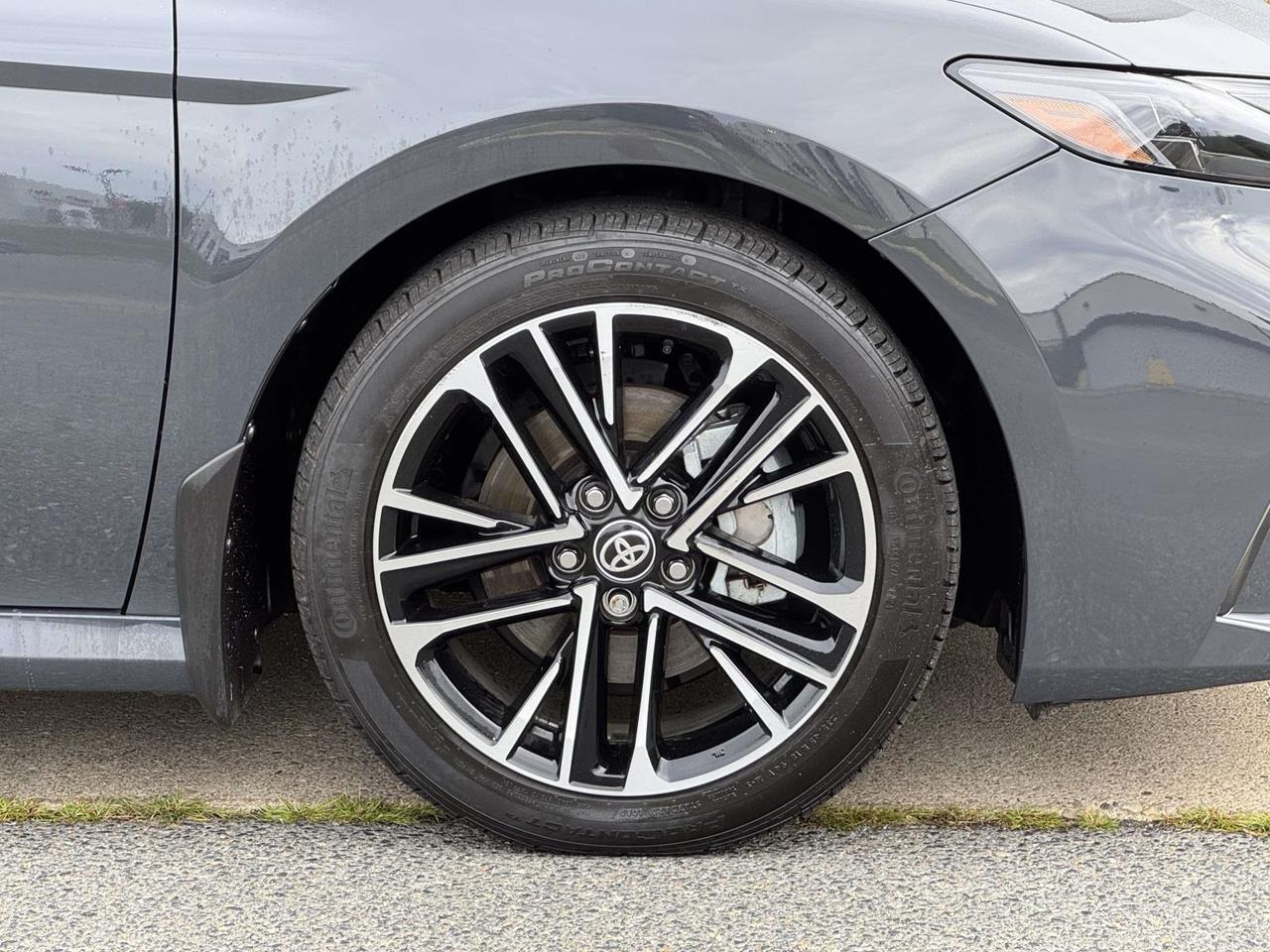 2025 Toyota Camry XLE Fredericksburg VA