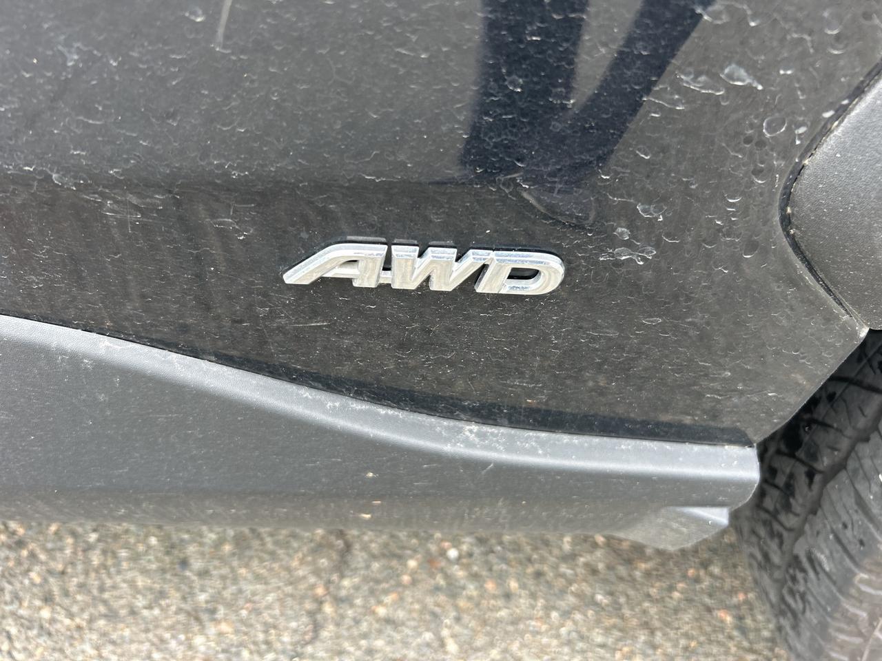 2025 Toyota RAV4 Hybrid Woodland Edition Ashland VA