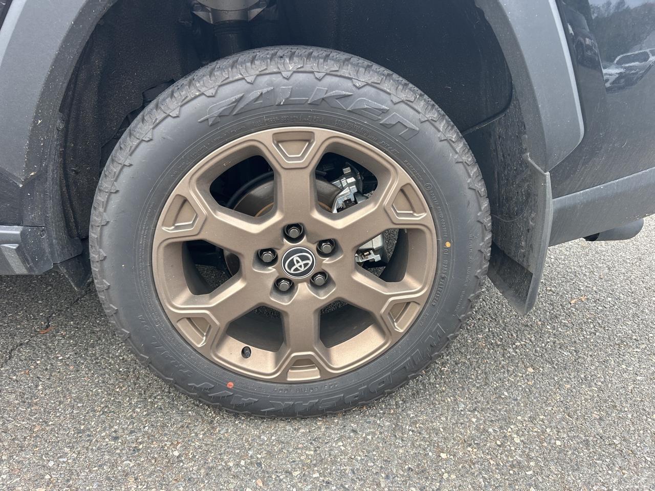 2025 Toyota RAV4 Hybrid Woodland Edition Ashland VA