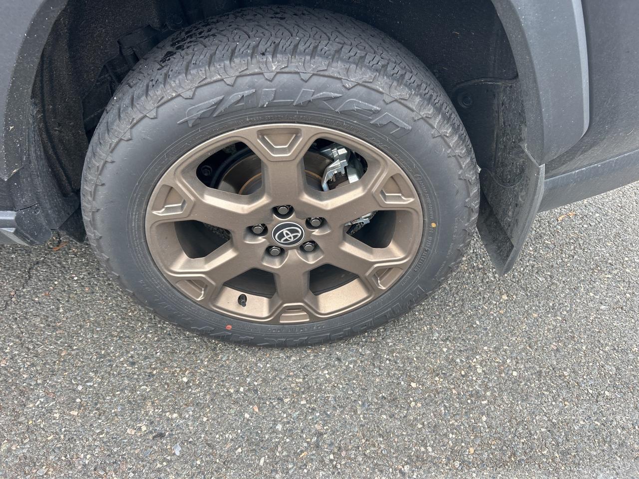 2025 Toyota RAV4 Hybrid Woodland Edition Ashland VA
