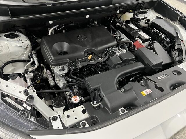 2025 Toyota RAV4 LE Highlands Ranch CO