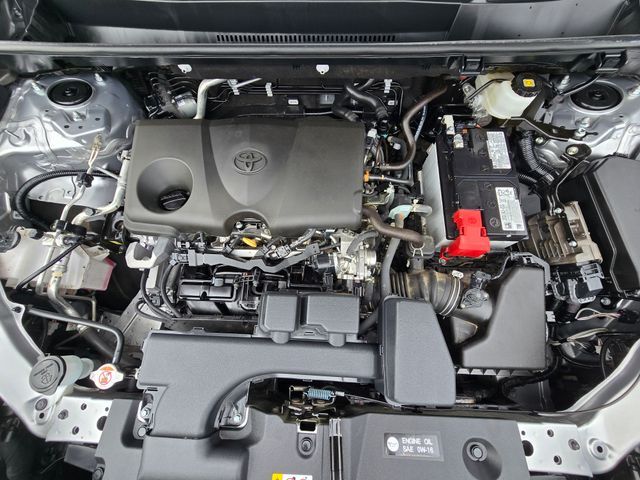 2025 Toyota RAV4 XLE Folsom CA
