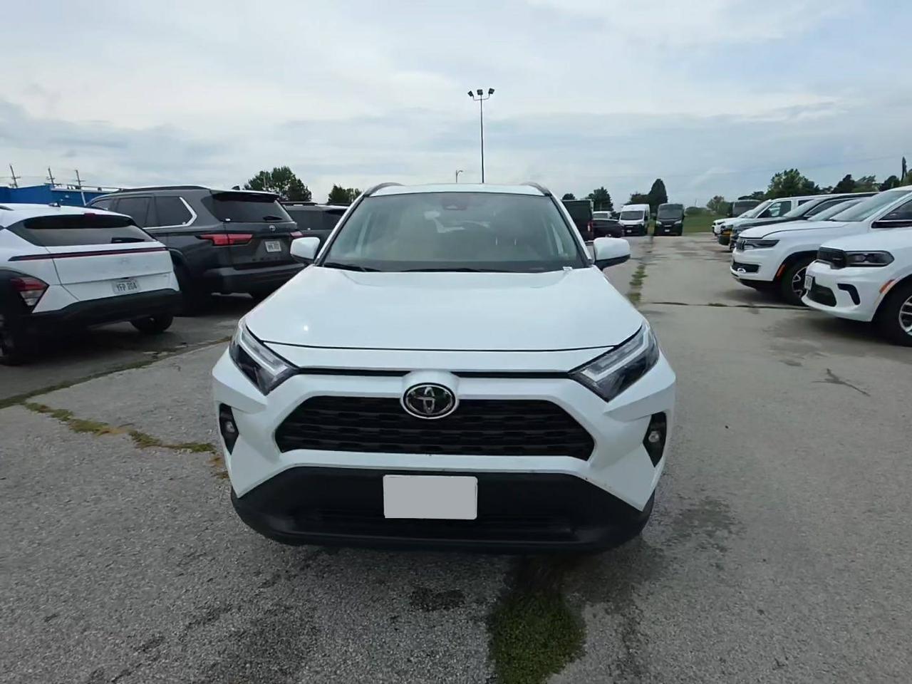 2025 Toyota RAV4 XLE Premium Knoxville TN