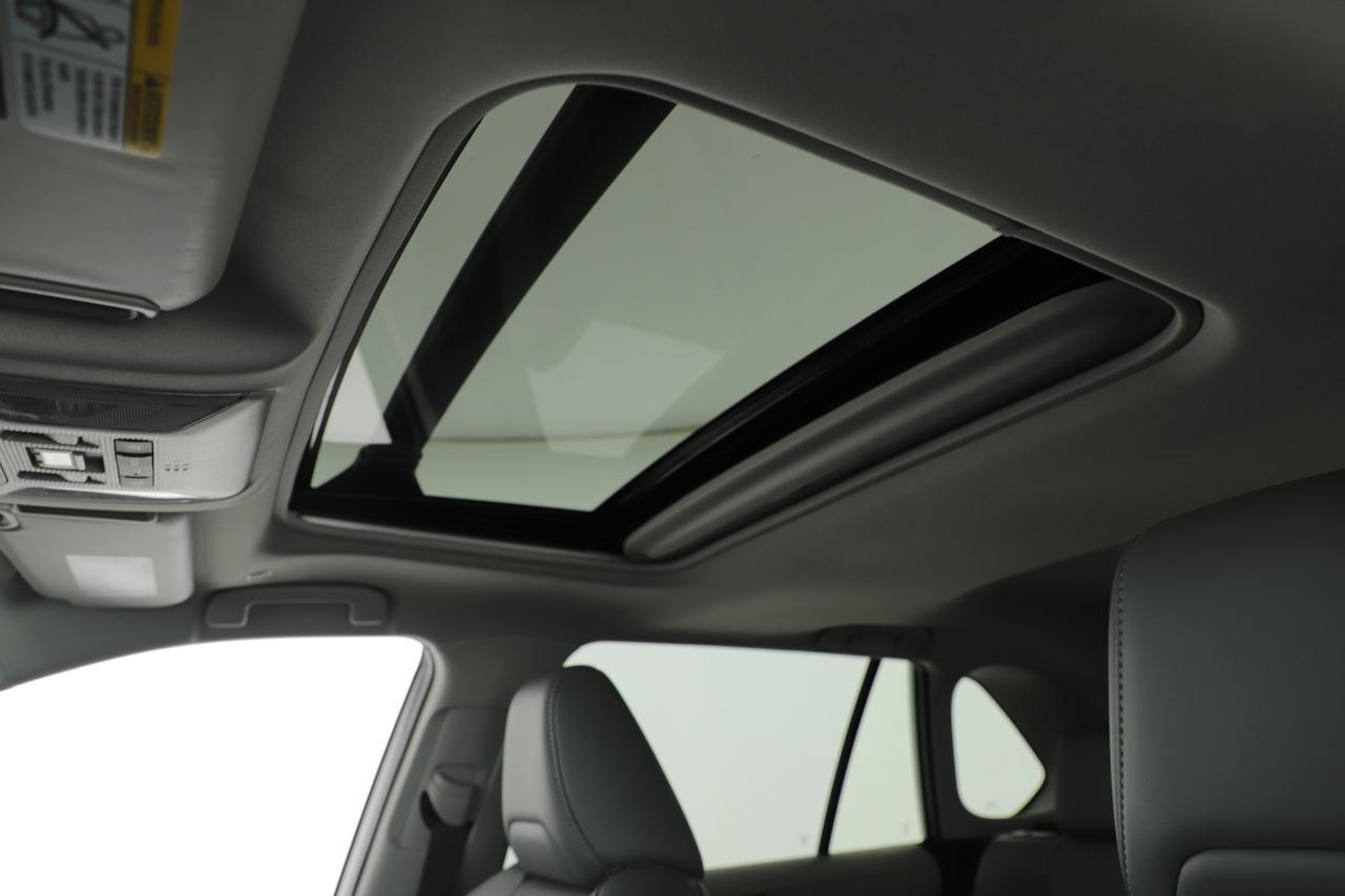 2025 Toyota RAV4 XLE Premium New Braunfels TX