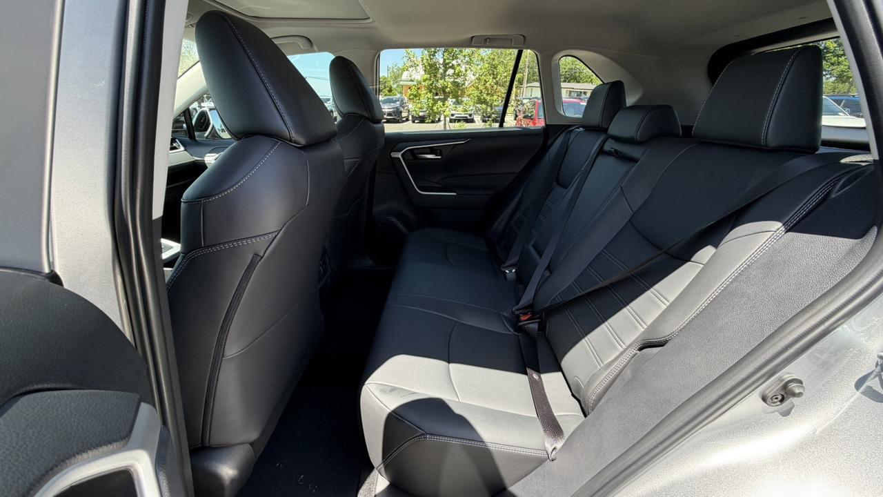 2025 Toyota RAV4 XLE Premium New Braunfels TX