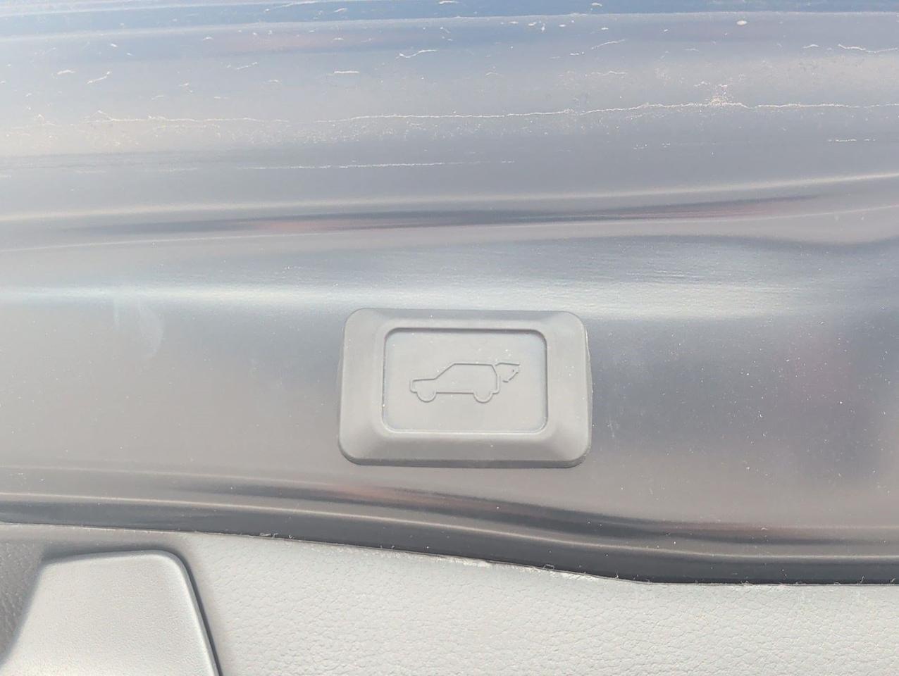 2025 Toyota RAV4 XLE Premium San Juan TX