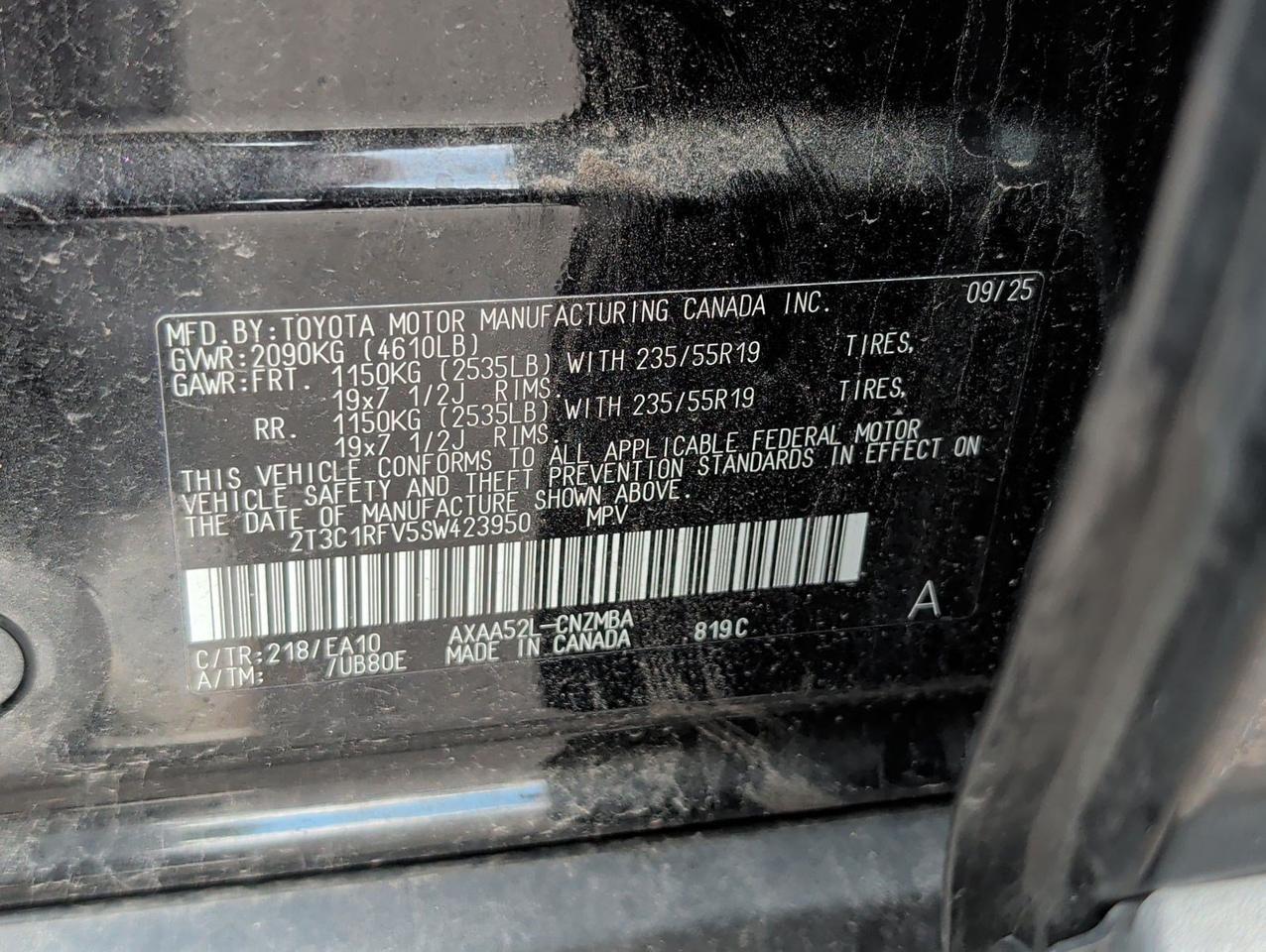 2025 Toyota RAV4 XLE Premium San Juan TX
