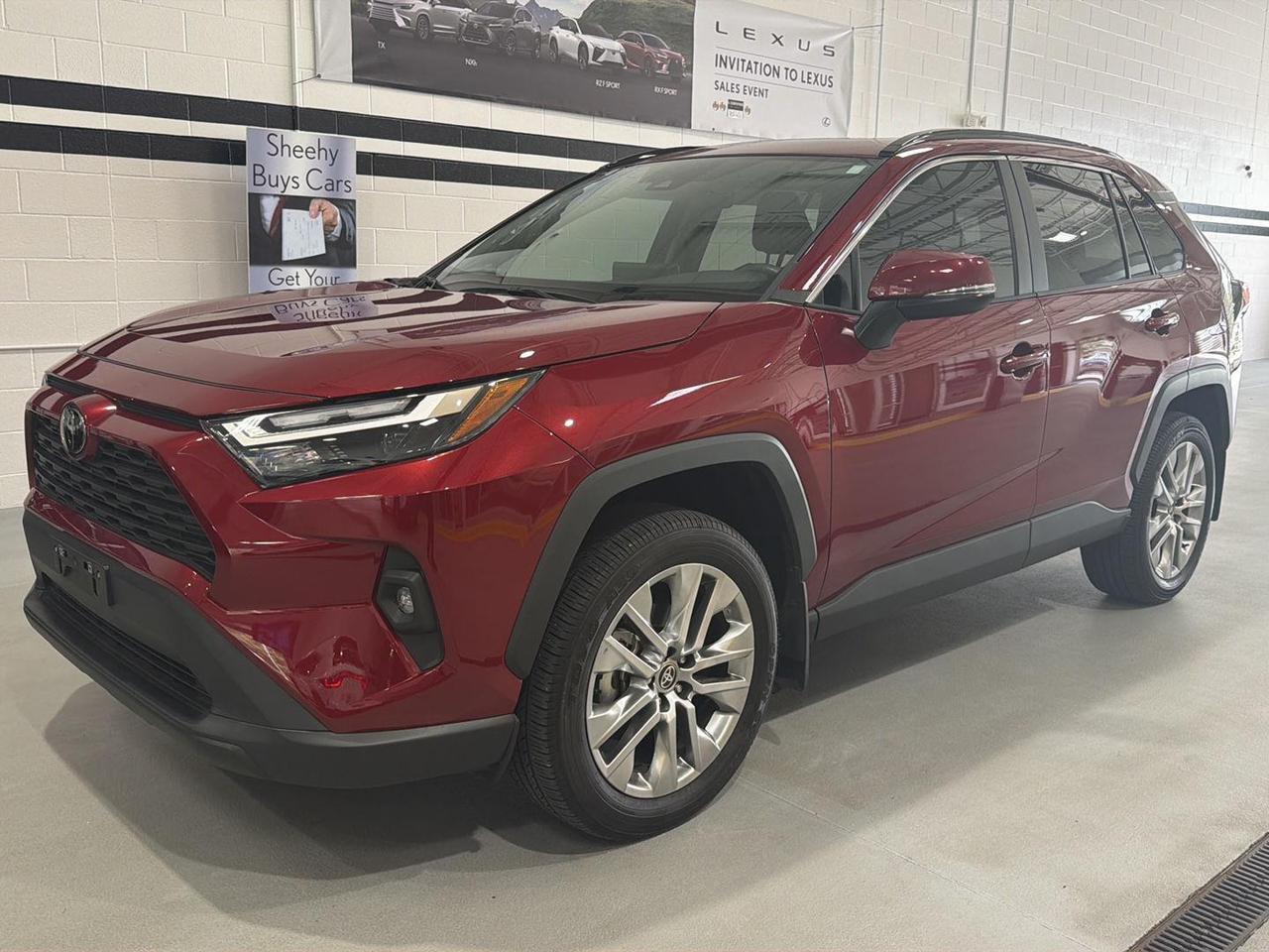2025 Toyota RAV4 XLE Premium Annapolis MD