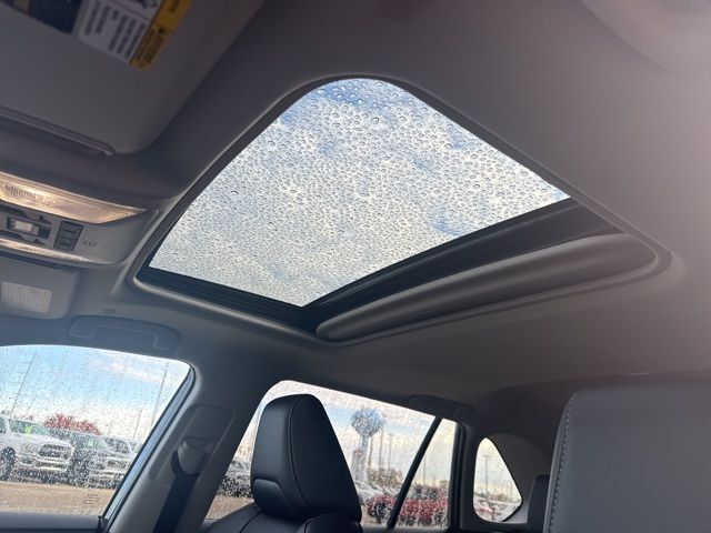 2025 Toyota RAV4 XLE Premium San Clemente CA