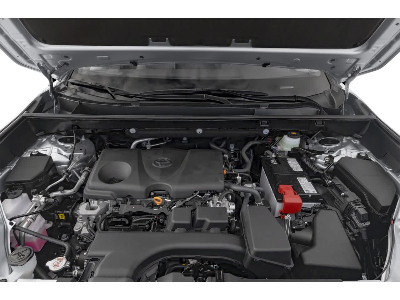 2025 Toyota RAV4 XLE Roseville CA