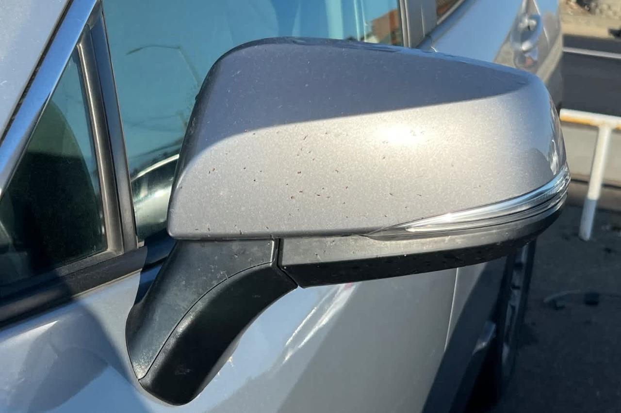 2025 Toyota RAV4 XLE Roseville CA