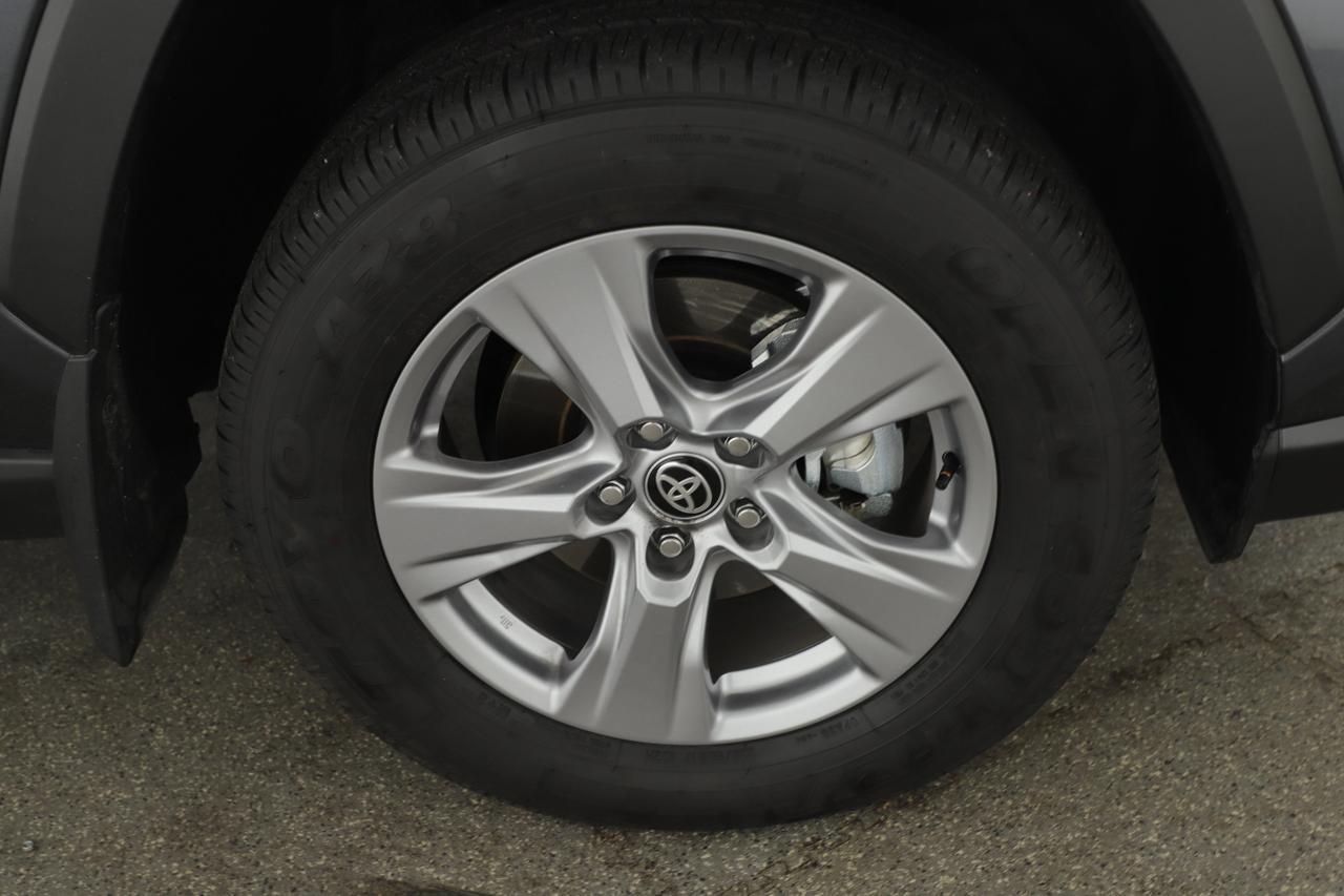 2025 Toyota RAV4 XLE New Braunfels TX