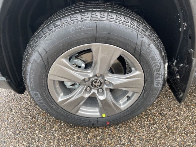 2025 Toyota RAV4 XLE San Clemente CA