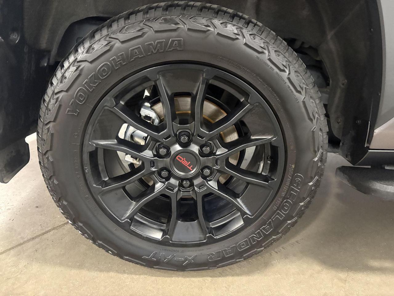 2025 Toyota Sequoia Limited Parker CO
