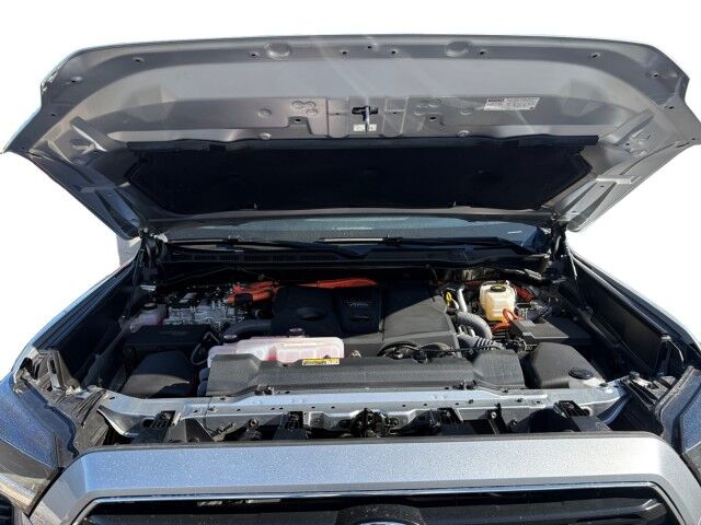 2025 Toyota Sequoia SR5 Yuma AZ
