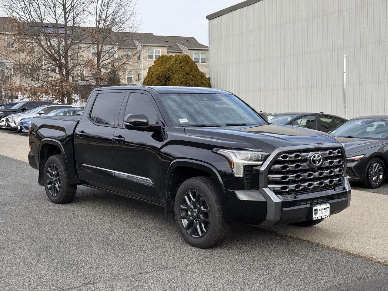 2025 Toyota Tundra Platinum