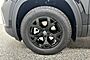 2025 Volkswagen Atlas 2.0T Peak Edition Oshkosh WI