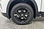 2025 Volkswagen Atlas 2.0T Peak Edition Oshkosh WI