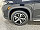 2025 Volkswagen Tiguan SE Oshkosh WI
