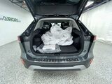 2025 Volkswagen Tiguan SE Oshkosh WI