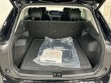2025 Volkswagen Tiguan SE Oshkosh WI
