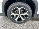 2025 Volkswagen Tiguan SE Oshkosh WI