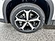 2025 Volkswagen Tiguan SE Oshkosh WI