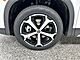 2025 Volkswagen Tiguan SE Oshkosh WI
