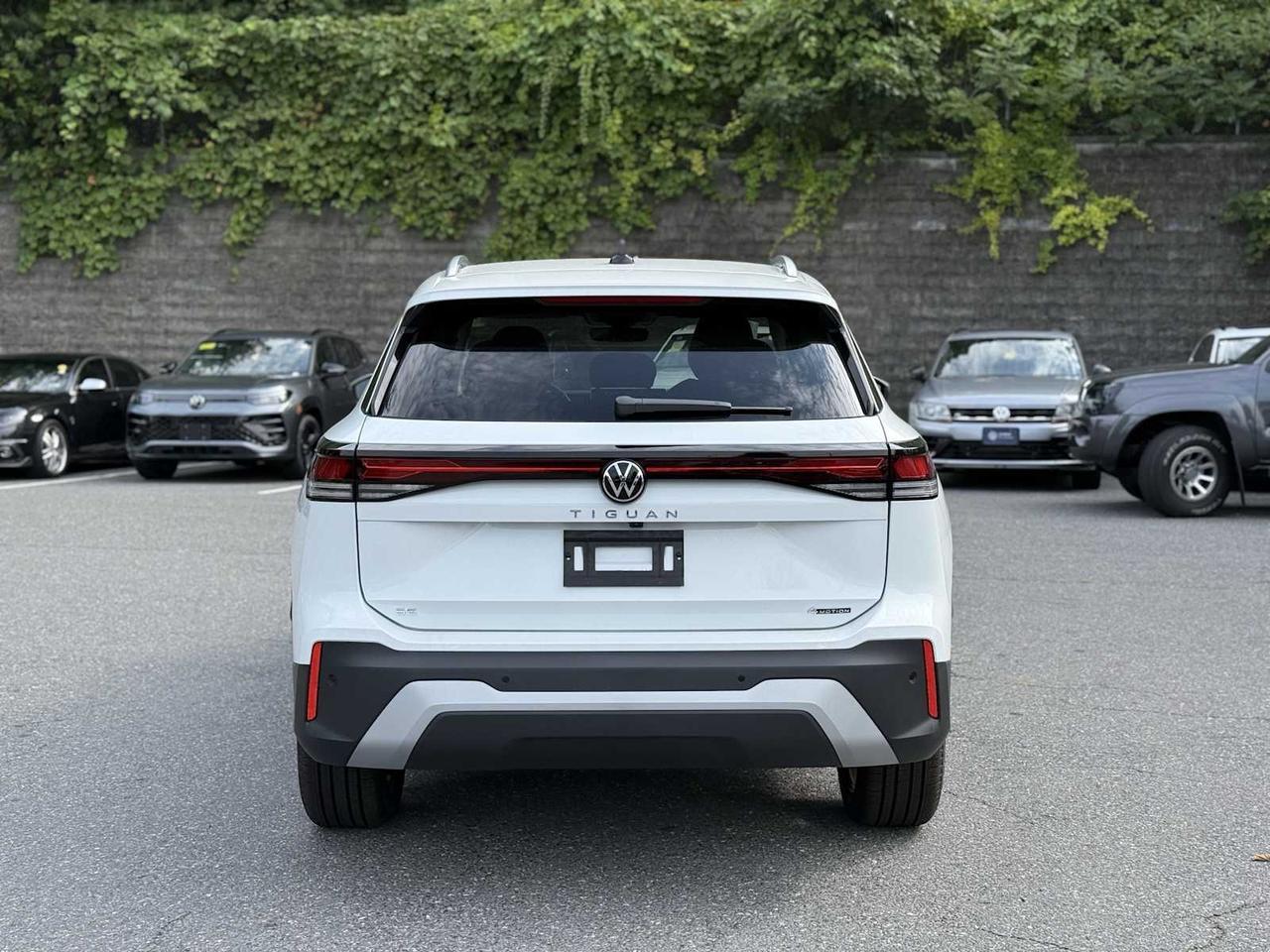 2025 Volkswagen Tiguan SE Westborough MA