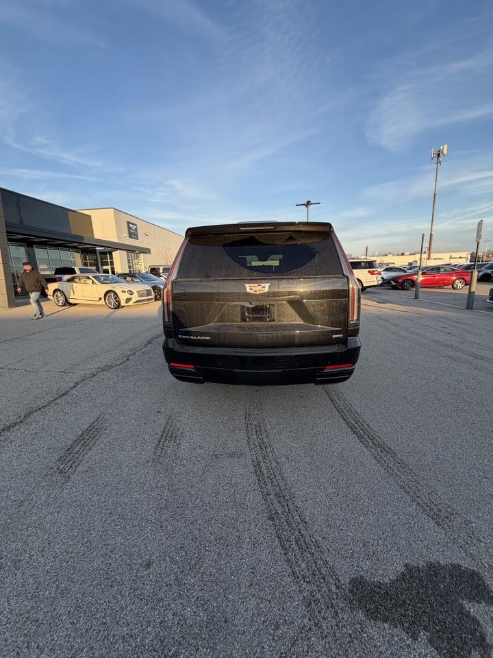 2026 Cadillac Escalade ESV Sport Indianapolis IN