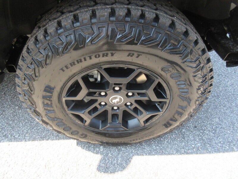 2026 Ford Bronco Badlands St. George SC